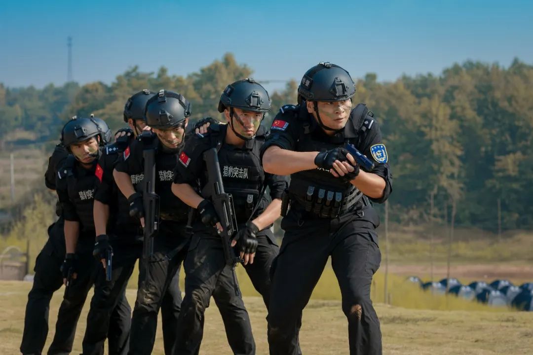 关于猎豹队客场不敌对手，阵脚大乱的信息